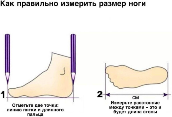 Женские мокасины «Орнамент красно-синий»