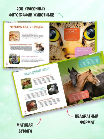 Моя первая книга о животных. 200 фотографий