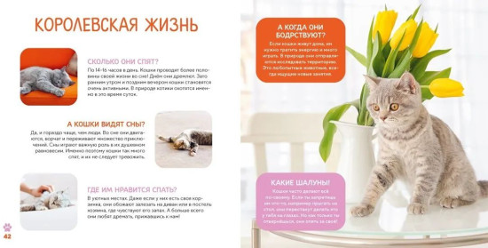 Моя первая книга о животных. 200 фотографий