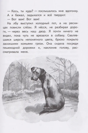 Пёс в шкафу, или История одного превращения