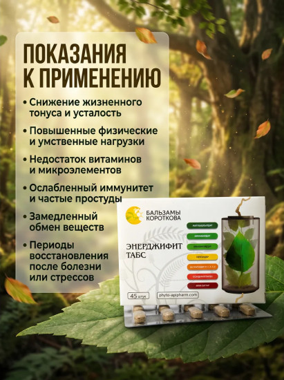 Энерджифит табс
