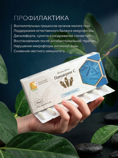 Панцерин С