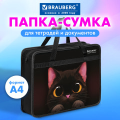 Папка на молнии с ручками А4, 1 отделение, пластик, 80 мм, «Большой черный кот», 274495 - Фото 5