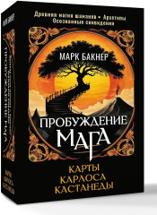 Пробуждение Мага. Карты Карлоса Кастанеды - Фото 2