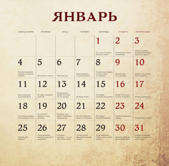 Календарь на 2027 год «Подсказки мудрого кота на каждый день»