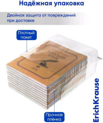 Комплект тетрадей общих ученических «Букинист» - Фото 9