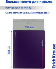 Комплект тетрадей общих ученических «Индиго» - Фото 12