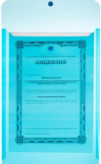 Комплект папка-конверт на кнопке