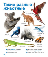 Первая книга малыша. 1000 картинок. Энциклопедия - Фото 11