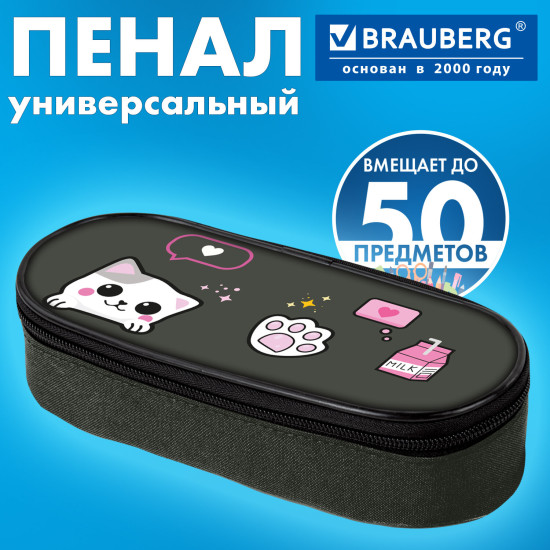 Пенал-футляр , 1 отделение, органайзер, полиэстер, 22×9х5 см, «Кошачья жизнь», 274585
