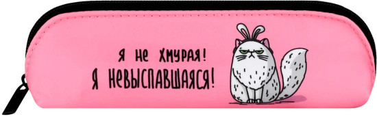 Пенал школьный «Кошка в ободке»