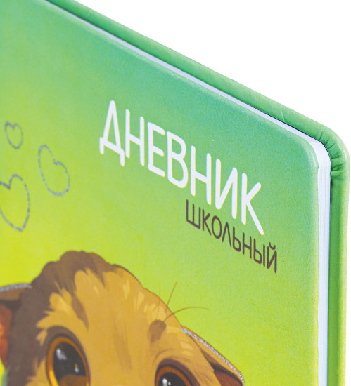 Дневник «Котик»