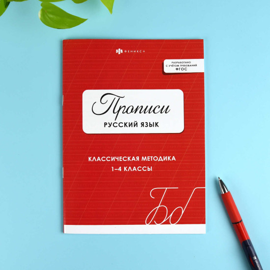 Прописи с заданиями для детей. Русский язык