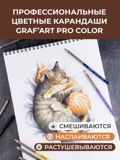 Набор карандашей цветных профессиональных «Сказочные миры Лавру»