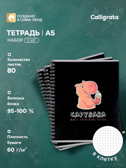 Набор тетрадей «Capy»