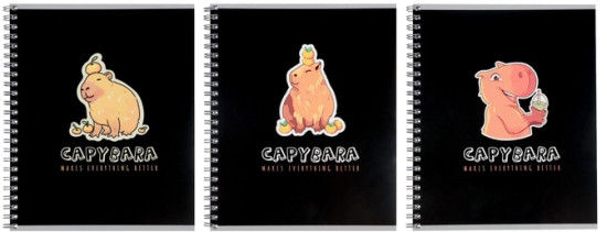 Набор тетрадей «Capy»