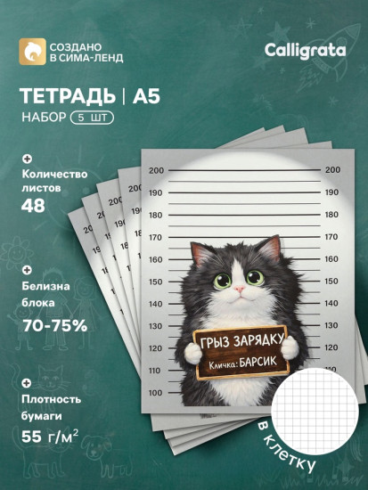Набор тетрадей «Коты хулиганы»