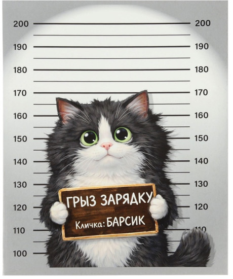 Набор тетрадей «Коты хулиганы»