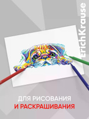 Набор фломастеров «Prima Cat» - Фото 6
