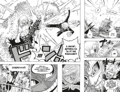 One Piece. Большой куш. Книга 25. Я никогда тебя не брошу - Фото 7