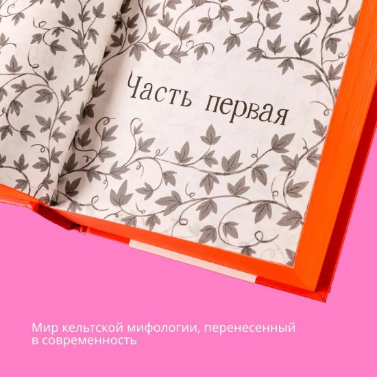 13 сокровищ. 13 проклятий. 13 секретов. Комплект из 3 книг