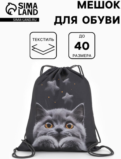 Мешок для обуви «Котик»