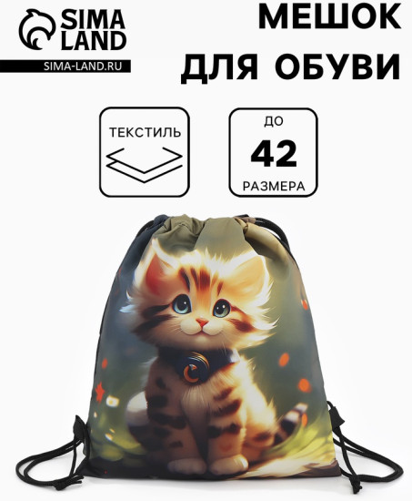 Мешок для обуви «Котик»