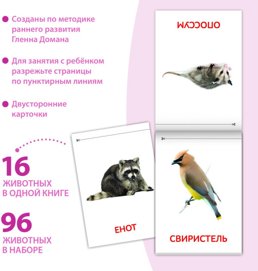 Книги «Карточки Домана. Животные материков», набор 6 шт. по 20 стр.