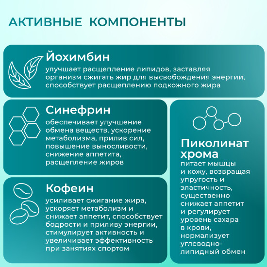 Жиросжигатель FAT BURNER