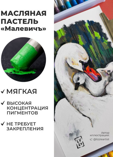 Набор пастели масляной профессиональной, коричневые тона №2