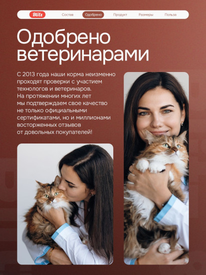 Корм для кошек с говядиной