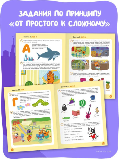 Рабочая тетрадь «Уроки грамоты 3+»
