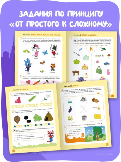 Рабочая тетрадь «Уроки грамоты 4+»