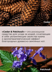 Парфюмированный гель для душа «Cedar & Patchouli» - Фото 4