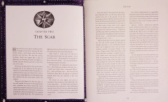Harry Potter and the Goblet of Fire. Illustrated Edition - Фото 2