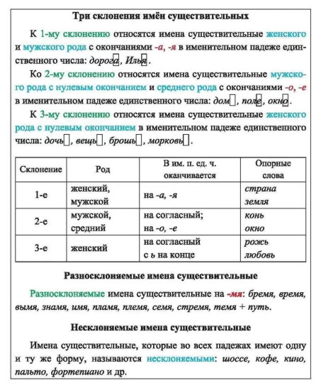 Русский язык. Морфология. Орфограммы имён существительных. 1-4 классы