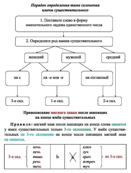 Русский язык. Морфология. Орфограммы имён существительных. 1-4 классы