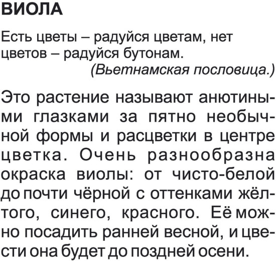 Двулетние садовые цветы. 12 развивающих карточек