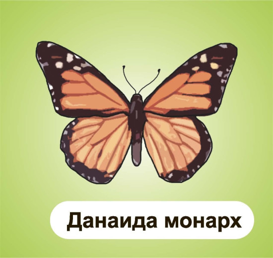 Главные правила. Литературное чтение. Малые жанры фольклора. 1-4 классы. 12 обучающих карточек