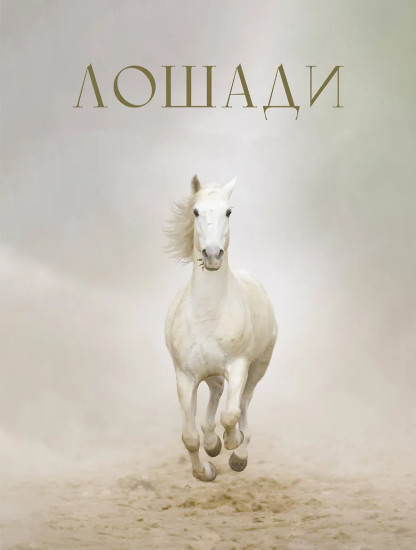 Лошади