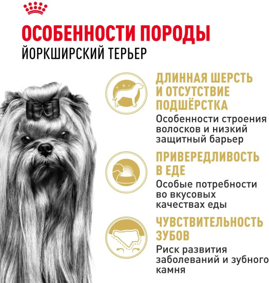 Сухой корм для взрослых собак породы йоркширский терьер Yorkshire Terrier