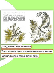 Сказка про храброго зайца - Фото 1