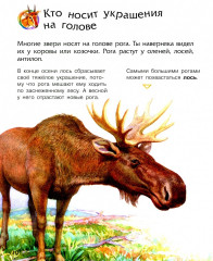 Энциклопедия дошкольника. Животные - Фото 1