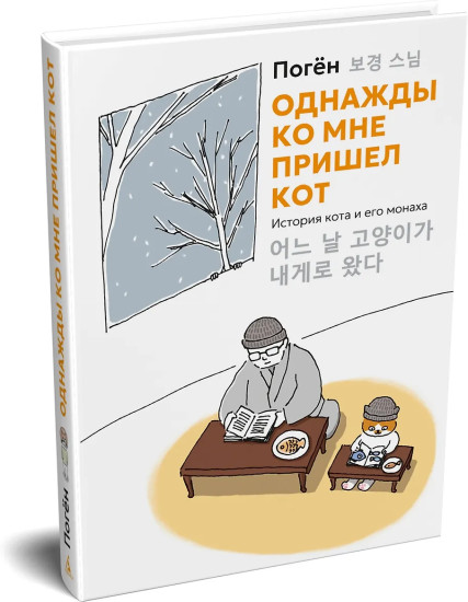 Однажды ко мне пришел кот