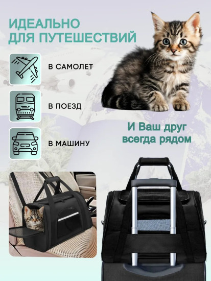 Переноска для кошек и собак