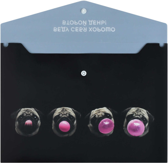 Папка для школьных тетрадей «Мопс и жвачка»