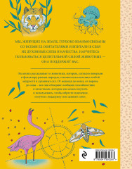 Зелёная ведьма. Колода-оракул. Животные-целители. Комплект из книги и колоды - Фото 6