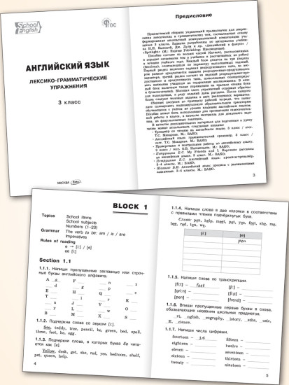 Английский язык. Лексико-грамматические упражнения. 3 класс