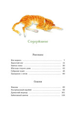 Кот-ворюга. Рассказы и сказки - Фото 5