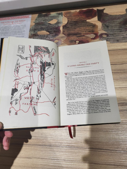 The Lord of the Rings Deluxe Illustrated by the Author: Special Edition